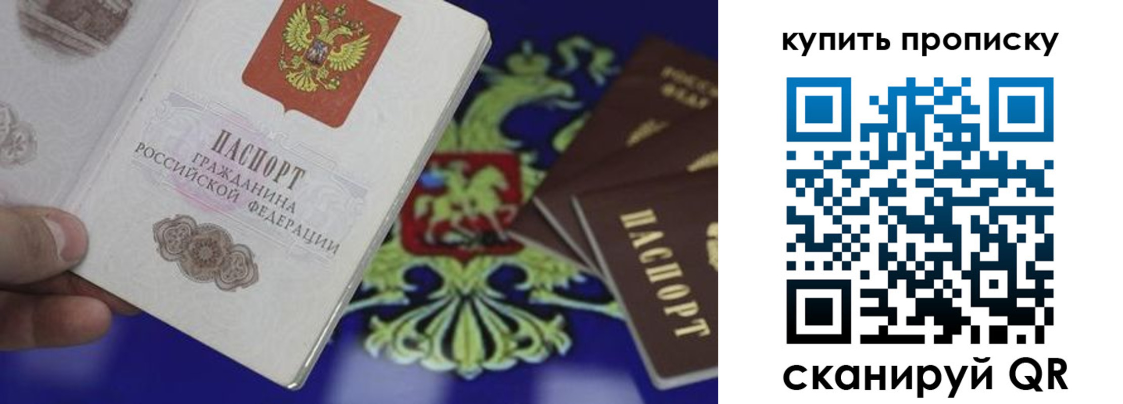 прописка законно в Владимире